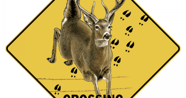 Deer Crossing Sign 5069